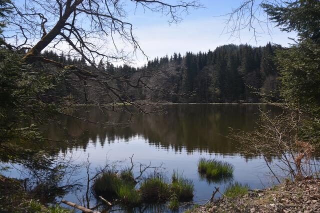 Tauernteich