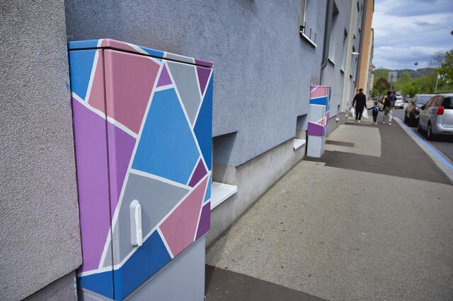 Seit Sommer 2020 machen bemalte Stromkästen das Franckviertel bunter. | Foto: Andreas Baumgartner/BRS