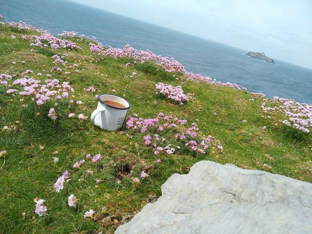 Am Ende ihrer Irlandquerung belohnte sich Aina Geber auf Dursey Island am Dursey Head mit einer Tasse Tee. | Foto: Aina Geber