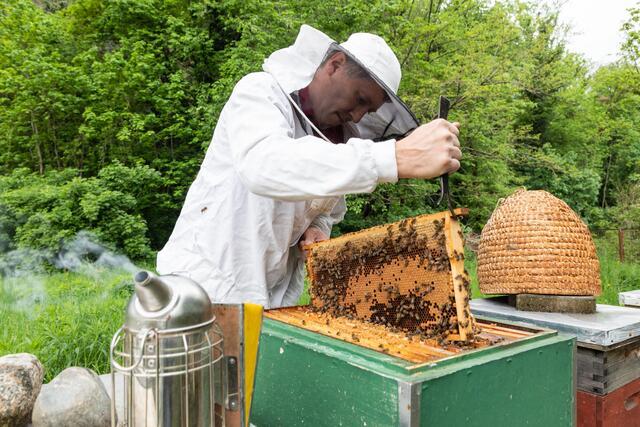 Kümmert sich seit fünf Jahren um das Projekt "Grazer Stadtbienen": Imker Andreas F. Poscharnik bei seinen Bienenstöcken. | Foto: Konstantinov