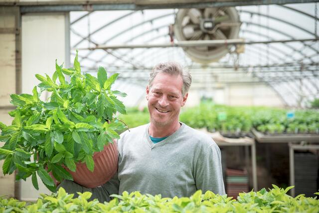 Traditionsbetrieb: Den 1938 gegründeten Familienbetrieb übernahm Nikolaus Toschkov 2007 und machte ihn zu einem Gemüse- und Kräuterspezialisten.