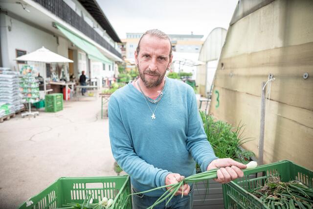 Viel Arbeit: Gottfried Wenzel hat als Mitarbeiter der Gärtnerei alle Hände voll zu tun.