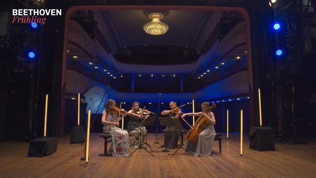 Das Selini Quartett spielte im Wiener Neustädter Stadtttheater Streichquartette von Mozart, Beethoven und Martinu.
