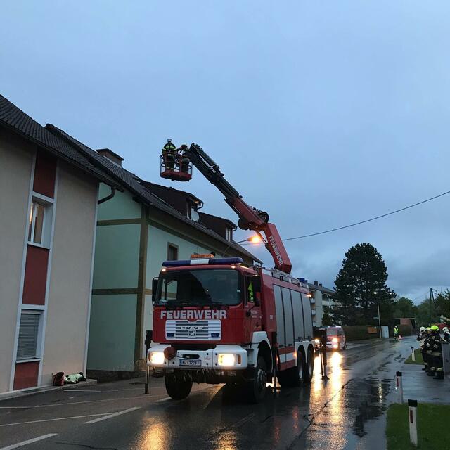 Feuerwehreinsatz in Kindberg-Dörfl: Eine Katze hatte sich auf das Dach eines Mehrparteienwohnhauses verirrt.