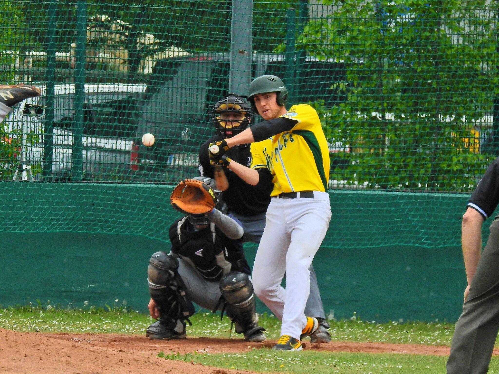 Baseball Bundesliga Traiskirchen besiegen Schwechat Blue