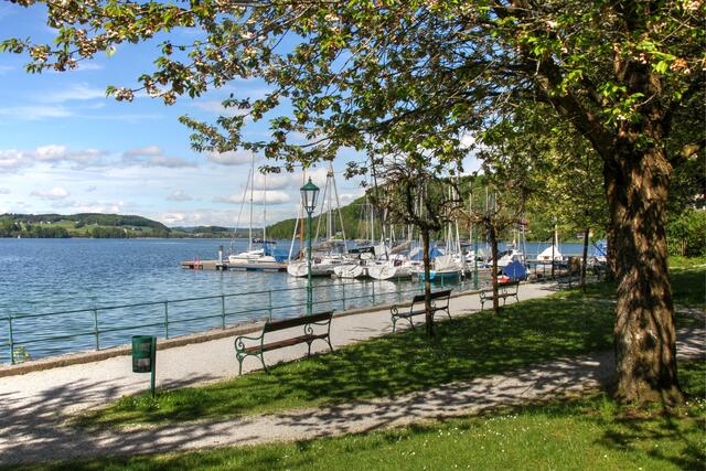 „Spaziergang am schönen Mattsee“ von unserer Regionautin Emma Sommeregger. | Foto: Emma Sommeregger
