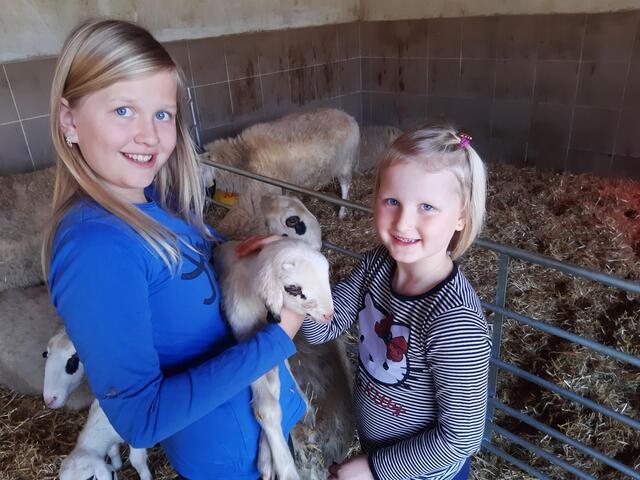 Simone (11) und Marina (7) waren bei Alexander Krobath am Hof zu Besuch. Die Freude über die zwei Wochen alten Lämmer steht den Mädels ins Gesicht geschrieben. | Foto: Privat