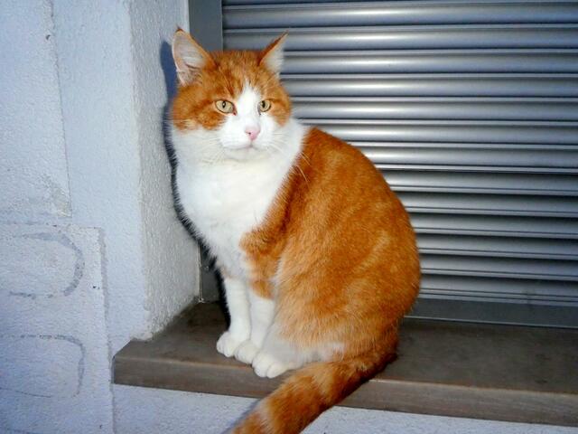 Foto: Haun