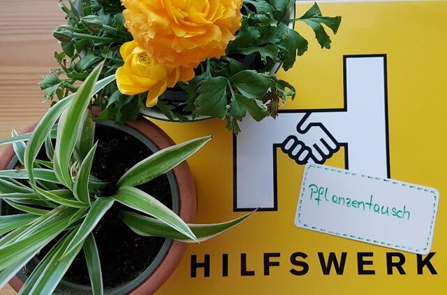 Pflanzentauschbörsen am Nachbarschaftstag.