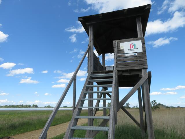 16.05.2021 Beobachtungsstand am Oberen Stinkersee