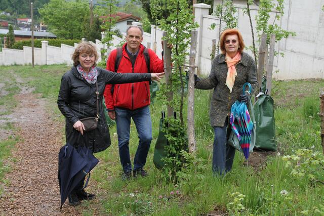 Alice Kozich (Bürgerinitiative Pro Wilhelminenberg), Forstwirt Alexander Mayr-Harting und Carola Röhrich (Initiative Steinhof). | Foto: Patricia Hillinger