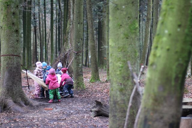 Fünf Tage pro Woche toben die Kinder im Waldkindergarten in Mattighofen durch den Wald.  | Foto: Höllbacher