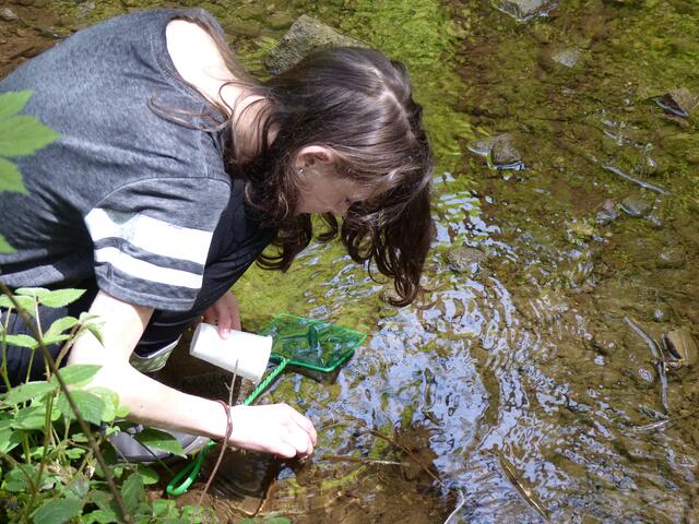 Das Workshop für Kinder "Was lebt im Bach" findet erstmals am IAT Traunkirchen in Kooperation mit dem universitätren Forschungisnstitut in Mondsee statt. | Foto: S. Wanzenböck