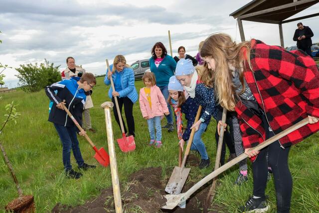 Gemeinsam wurden die Apfelbäume eingepflanzt