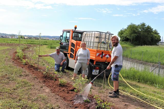 GR Sabine Jakubzig mit Gemeindegärtner Christoph Ettl und Erwin Pölzgutter vom Wirtschaftshof beim Bepflanzen des Naschgartens. | Foto: Edith Ertl