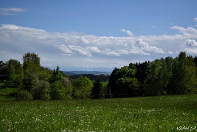 Blick über Altschwendt bis hin zu den Alpen