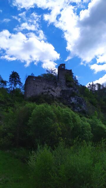 Ihr erster Streckenabschnitt entlang des E8 führte Aina Miriam Geber ausgehend von Retz durch das Waldviertel. | Foto: Aina Geber