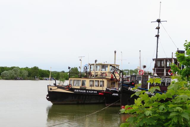 Die zwei wohl interessantesten sind MS Arthur Kaspar, ein dieselbetriebener Eisbrecher (immer noch fahrbereit) nach Wiener Art (wendet eine eigene Technik des Eisbrechens an, die in Wien entwickelt wurde) und das MS Frederic Mistral, mit dem noch Kaiser Franz Josef inkognito Kontrollfahrten unternahm; zu den Benützern zählten aber auch Stalin und Tito.