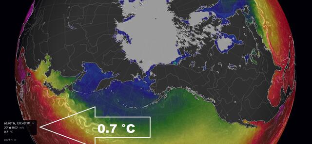 Plusgrade in der Arktis | Foto: https://earth.nullschool.net/#current/ocean/surface/currents/overlay=sea_surface_temp/orthographic=-160.77,68.10,865/loc=-137.464,69.947