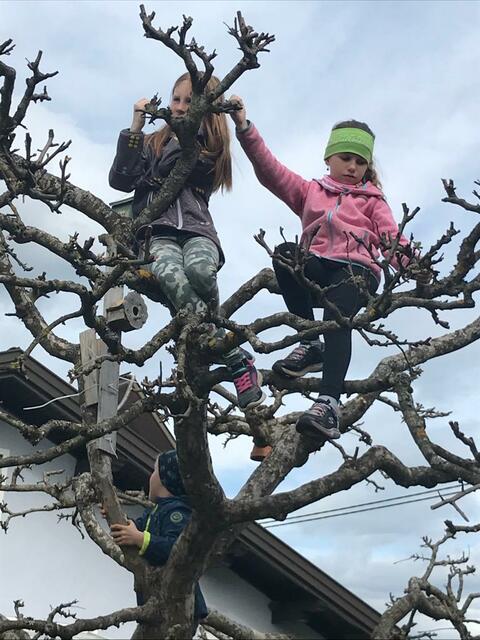 Amelie, Anna und Fabio sind immer in Bewegung .