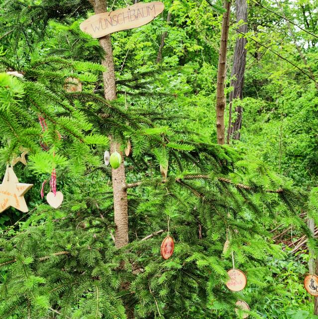 Am Rande: die Spuren der heutigen Zeit, der jetzigen Verhaltensmentalität, ein WUNSCHBAUM im Auwald!  | Foto: Johannes Ulrich