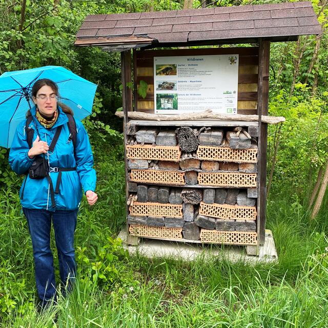 Abwechselnd dazu gab es Informationen zur Tier-, Vogel- und Insektenwelt von Mag. (-MSc.) Simin Payandeh, hier beim "Insektenhaus Wasserkraftwerk". | Foto: Peter Kirchengast