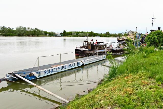 Eine bunte Ansammlung historischer Schiffe mit interessanter Geschichte wartet im Schiffmuseum auf uns