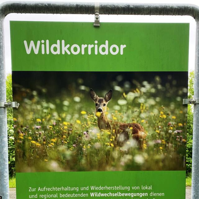 Der durchwanderte Teil dient auch als Wildkorridor, ist auch dementsprechend gekennzeichnet und sollte von den Benützer/-innen "sanft" begegnet werden. | Foto: Peter Kirchengast