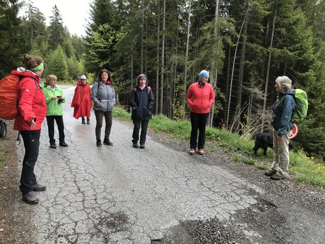 Auch gewandert wird im Sportjahr: Am 29. Mai geht es mit dem Alpenverein durch die Rettenbachklamm auf die Platte. (Um Anmeldung wird gebeten)
