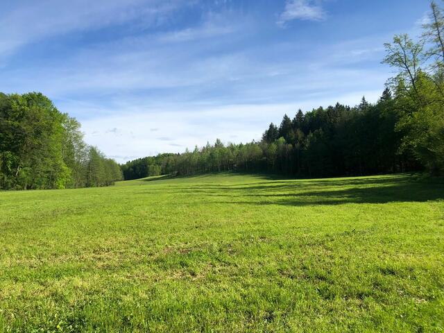 Foto: Gemeinde St. Stefan ob Stainz