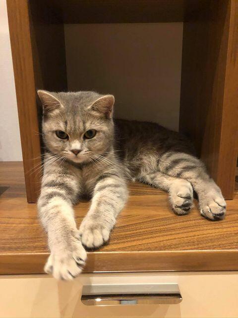 Minki wird gesucht | Foto: privat