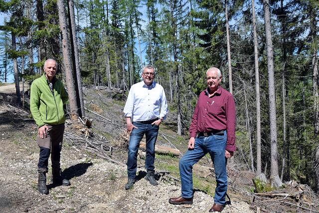 Waldbauern bekommen wertvolle Hilf aus dem Katastrophenfonds. Im Bild: Bezirksförster Rupert Höller, LR Josef Schwaiger und Martin Jedinger aus St. Gilgen | Foto: Land Salzburg/Martin Wautischer