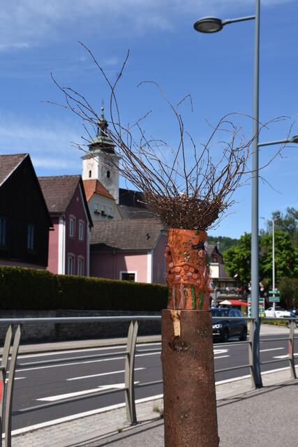 Foto: Robert Zinterhof