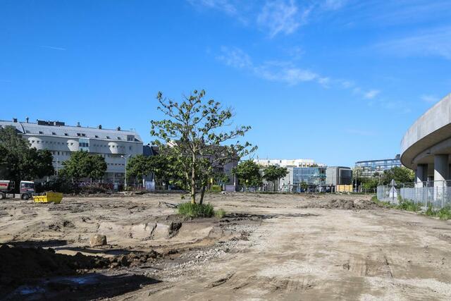 In der Langobardenstraße 135 entsteht eine neue Schule für 33 Klassen. | Foto: Christian Fürthner/PID