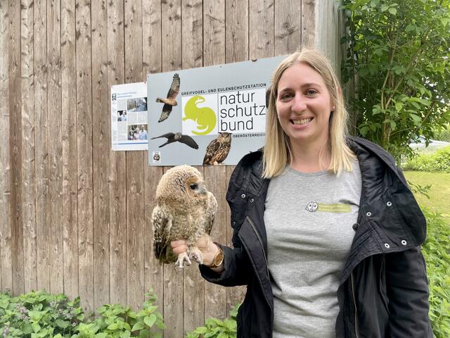 Sabine Riener ist Mitarbeiterin auf der Greifvogel- und Eulenschutzstation OAW in Ebelsberg. Der kleine Waldkauz wird bald flugfähig und darf wieder zurück in die Freiheit. | Foto: BRS/Gschwandtner