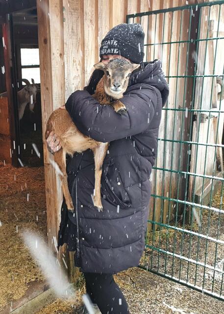 Foto: Tierparadies Schabenreith | Hofner