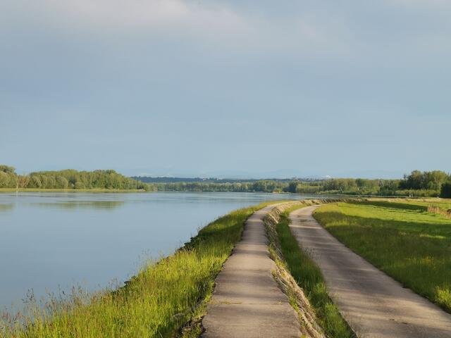 Auf einem 1,2 Kilometer langen Donauabschnitt zwischen St. Pantaleon-Erla und Naarn könnten bald Jetskis auf und ab flitzen. | Foto: Roman Kosta
