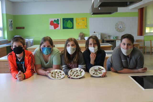 Foto: Wirtschafts-und Musikmittelschule Waidhofen/Ybbs