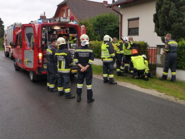 Die Feuerwehr Theresienfeld rettete einen Igel aus einem Gartentor. | Foto: FF Theresienfeld