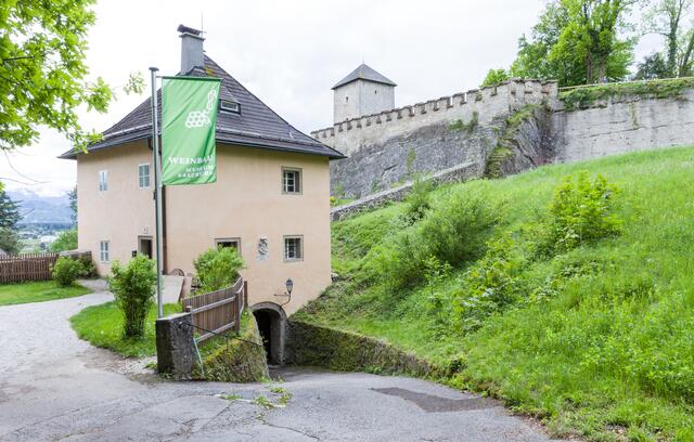 Im Georgsturm findet man das gesammelte Wissen über die Geschichte des Weins in der Stadt Salzburg. Von historischen Geräten bis zu den Arbeitsschritten.