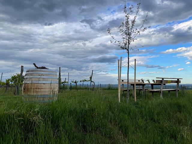 Ein privater Rastplatz, der besonders idyllisch liegt. | Foto: Doris Necker