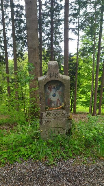 Nach 380 Kilometern quer durch das Wald- und Mühlviertel geht die Welser Weitwanderin nach rund zwei Wochen bei Oberkappel über die Grenze. | Foto: Aina Geber