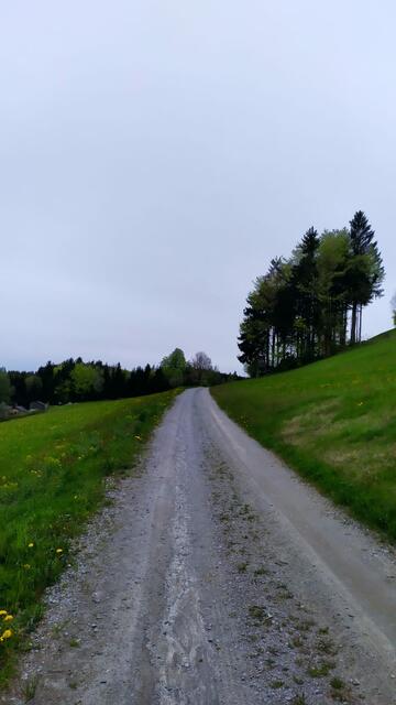 Das Mühlviertel ist der Welser Weitwanderin nach vielen "kurzen" Wochenendwanderungen bestens vertraut. | Foto: Aina Geber