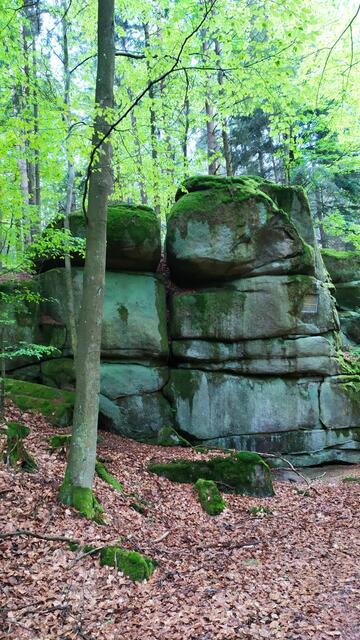 Das Mühlviertel ist der Welser Weitwanderin nach vielen "kurzen" Wochenendwanderungen bestens vertraut. | Foto: Aina Geber