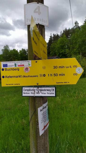 Das Mühlviertel ist der Welser Weitwanderin nach vielen "kurzen" Wochenendwanderungen bestens vertraut. | Foto: Aina Geber