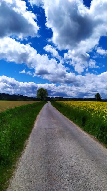 Das Mühlviertel ist der Welser Weitwanderin nach vielen "kurzen" Wochenendwanderungen bestens vertraut. | Foto: Aina Geber