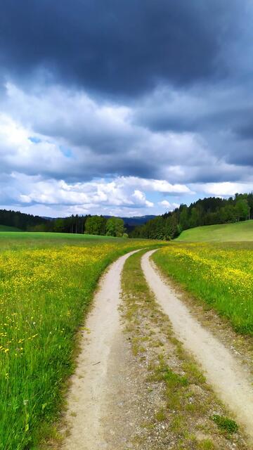 Nach 380 Kilometern quer durch das Wald- und Mühlviertel geht die Welser Weitwanderin nach rund zwei Wochen bei Oberkappel über die Grenze. | Foto: Aina Geber