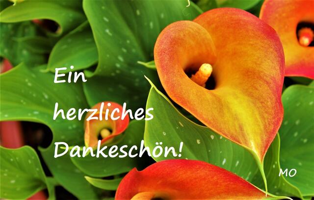 Ein herzliches Dankeschön!