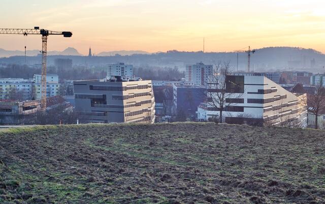Das Grundstück an der Altenberger Straße (im Bildvordergrund) ist derzeit noch Grünland.  | Foto: Baumgartner/BRS
