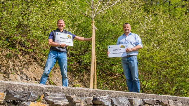Das Projekt "Baumpatenschaft" ist gut angelaufen. | Foto: Rajkovats